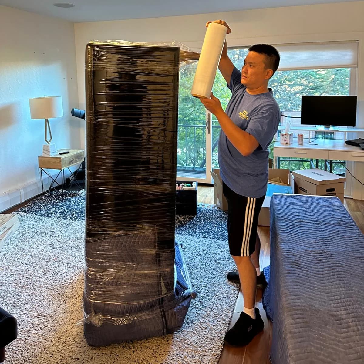 professional furniture protection for moving